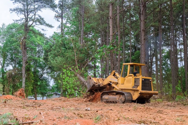Bulldozer Clearing