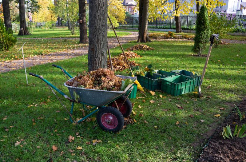 Brush Clearing Service in Utah County, UT