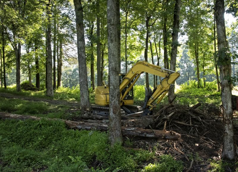 Bulldozer Clearing Forest