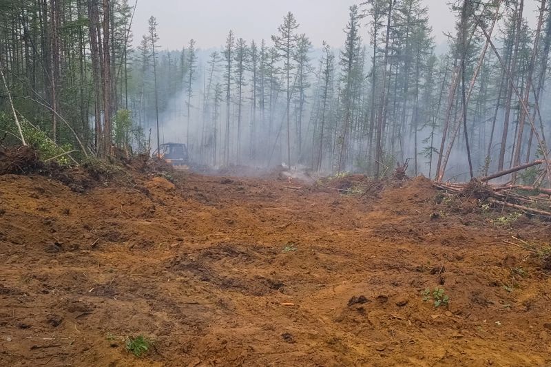 Environmental Land Services