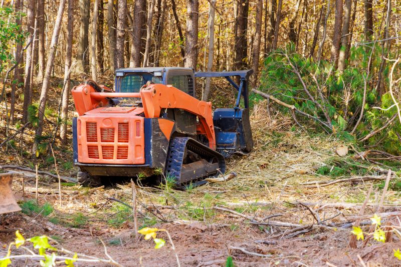 Forestry Mulching - Bulldozer Clearing Hendersonville, Tennessee