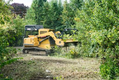 Acreage Clearing in Cumming, GA
